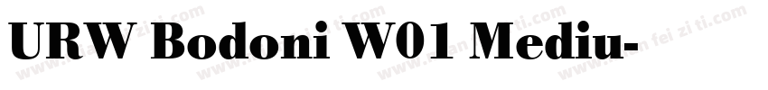 URW Bodoni W01 Mediu字体转换